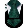 imageHISDERN Ties for Men Paisley Floral Mens Ties and Pocket Square Cufflinks Set Classic Business Necktie HandkerchiefB1green