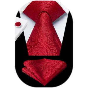 imageHISDERN Ties for Men Paisley Floral Mens Ties and Pocket Square Cufflinks Set Classic Business Necktie HandkerchiefA1red1