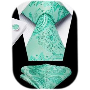 imageHISDERN Ties for Men Paisley Floral Mens Ties and Pocket Square Cufflinks Set Classic Business Necktie HandkerchiefB2 Mint Green