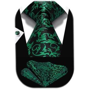 imageHISDERN Ties for Men Paisley Floral Mens Ties and Pocket Square Cufflinks Set Classic Business Necktie HandkerchiefB2green