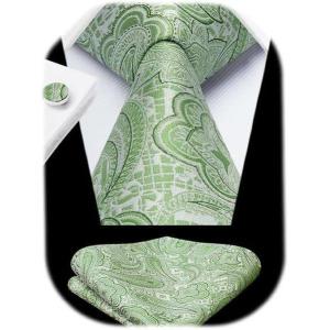 imageHISDERN Ties for Men Paisley Floral Mens Ties and Pocket Square Cufflinks Set Classic Business Necktie HandkerchiefB2sage Green