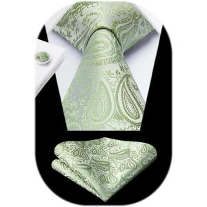 imageHISDERN Ties for Men Paisley Floral Mens Ties and Pocket Square Cufflinks Set Classic Business Necktie HandkerchiefBsage Green