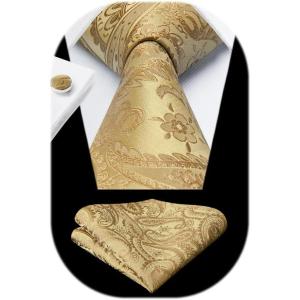 imageHISDERN Ties for Men Paisley Floral Mens Ties and Pocket Square Cufflinks Set Classic Business Necktie HandkerchiefCgold