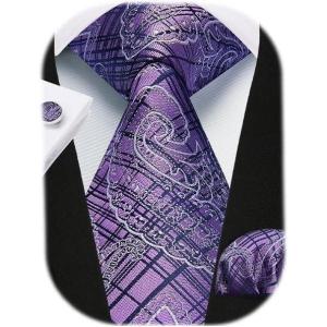 imageHISDERN Ties for Men Paisley Floral Mens Ties and Pocket Square Cufflinks Set Classic Business Necktie HandkerchiefD3purple