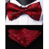 imageHISDERN Burgundy Tie Mens Floral Red BowTies Formal Handkerchief Tie Set Silk Woven Classic Maroon Necktie for Men Christmas Party