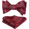 imageHISDERN Christmas Bow Tie ampamp Burgundy Tie Set Xmas Tree Pattern Holiday Parties Funny Neckties Handkerchief