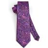 imageHISDERN Ties for Men Paisley Floral Mens Ties and Pocket Square Cufflinks Set Classic Business Necktie HandkerchiefD6purple  Hot Pink