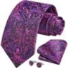 imageHISDERN Ties for Men Paisley Floral Mens Ties and Pocket Square Cufflinks Set Classic Business Necktie HandkerchiefD6purple  Hot Pink