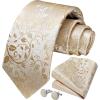 imageHISDERN Ties for Men Paisley Floral Mens Ties and Pocket Square Cufflinks Set Classic Business Necktie HandkerchiefEgold