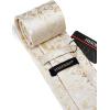 imageHISDERN Ties for Men Paisley Floral Mens Ties and Pocket Square Cufflinks Set Classic Business Necktie HandkerchiefEgold
