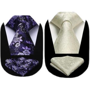 imageHISDERN 2PCS Ties for Men Xmas Tie and Pocket Square Wedding Holiday Season Funny Neckties Handkerchief