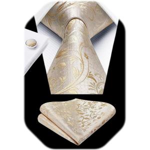 imageHISDERN Ties for Men Paisley Floral Mens Ties and Pocket Square Cufflinks Set Classic Business Necktie HandkerchiefEgold