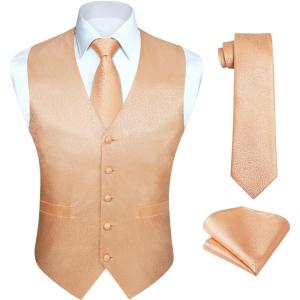 imageHISDERN V301 Mens 3PCS Formal Vest Set Slim Fit Jacquard Waistcoat with Paisley Floral Pattern for Wedding Prom PartyChampagneN1