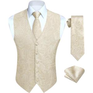 imageHISDERN V301 Mens 3PCS Formal Vest Set Slim Fit Jacquard Waistcoat with Paisley Floral Pattern for Wedding Prom PartyChampagneN2