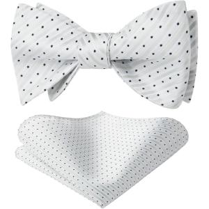 imageHISDERN Bow Ties for Men Striped Bowties Mens Self Tie Bowtie Handkerchief Formal Tuxedo Wedding Bowties and Pocket Square03silver Polka Dots
