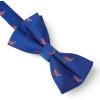image:imageHISDERN Bow Ties for Boys Pre Tied Toddler Bow Tie Adjustable Kids Bowties Clip On Fun Patterned Bowties for Wedding PartyBlue3
