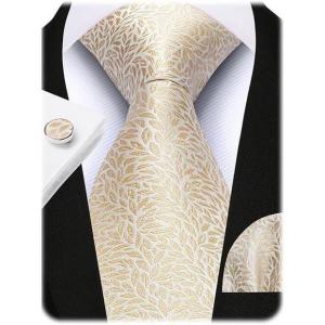 image:imageHISDERN Mens Ties Silk Striped Plaid Tie and Pocket Square Set Classic Necktie with Handkerchief Cufflinks for PartyCchampagne