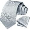 image:imageHISDERN Paisley Ties for Men Solid Tie Handkerchief Floral Mens Necktie amp Pocket Square Set Wedding Classic Mens TiesA1silver Gray