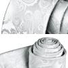 image:imageHISDERN Paisley Ties for Men Solid Tie Handkerchief Floral Mens Necktie amp Pocket Square Set Wedding Classic Mens TiesA2silver White