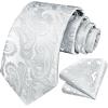 image:imageHISDERN Paisley Ties for Men Solid Tie Handkerchief Floral Mens Necktie amp Pocket Square Set Wedding Classic Mens TiesA2silver White