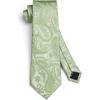 image:imageHISDERN Paisley Ties for Men Solid Tie Handkerchief Floral Mens Necktie amp Pocket Square Set Wedding Classic Mens TiesE10sage Green