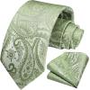 image:imageHISDERN Paisley Ties for Men Solid Tie Handkerchief Floral Mens Necktie amp Pocket Square Set Wedding Classic Mens TiesE10sage Green