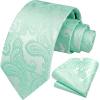 image:imageHISDERN Paisley Ties for Men Solid Tie Handkerchief Floral Mens Necktie amp Pocket Square Set Wedding Classic Mens TiesE12aqua