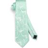 image:imageHISDERN Paisley Ties for Men Solid Tie Handkerchief Floral Mens Necktie amp Pocket Square Set Wedding Classic Mens TiesE12aqua