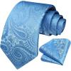 image:imageHISDERN Paisley Ties for Men Solid Tie Handkerchief Floral Mens Necktie amp Pocket Square Set Wedding Classic Mens TiesE4light Blue