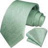 image:imageHISDERN Paisley Ties for Men Solid Tie Handkerchief Floral Mens Necktie amp Pocket Square Set Wedding Classic Mens TiesE7sage Green