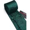 image:imageHISDERN Paisley Ties for Men Solid Tie Handkerchief Floral Mens Necktie amp Pocket Square Set Wedding Classic Mens TiesE8green