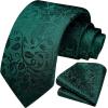 image:imageHISDERN Paisley Ties for Men Solid Tie Handkerchief Floral Mens Necktie amp Pocket Square Set Wedding Classic Mens TiesE8green