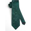 image:imageHISDERN Paisley Ties for Men Solid Tie Handkerchief Floral Mens Necktie amp Pocket Square Set Wedding Classic Mens TiesE8green