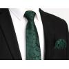 image:imageHISDERN Paisley Ties for Men Solid Tie Handkerchief Floral Mens Necktie amp Pocket Square Set Wedding Classic Mens TiesE9hunter Green