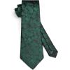 image:imageHISDERN Paisley Ties for Men Solid Tie Handkerchief Floral Mens Necktie amp Pocket Square Set Wedding Classic Mens TiesE9hunter Green