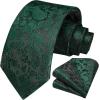 image:imageHISDERN Paisley Ties for Men Solid Tie Handkerchief Floral Mens Necktie amp Pocket Square Set Wedding Classic Mens TiesE9hunter Green