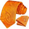 image:imageHISDERN Paisley Ties for Men Solid Tie Handkerchief Floral Mens Necktie amp Pocket Square Set Wedding Classic Mens TiesF1orange