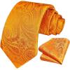 image:imageHISDERN Paisley Ties for Men Solid Tie Handkerchief Floral Mens Necktie amp Pocket Square Set Wedding Classic Mens TiesF2orange