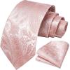 image:imageHISDERN Paisley Ties for Men Solid Tie Handkerchief Floral Mens Necktie amp Pocket Square Set Wedding Classic Mens TiesG4 Blush Pink