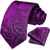 image:imageHISDERN Paisley Ties for Men Solid Tie Handkerchief Floral Mens Necktie amp Pocket Square Set Wedding Classic Mens TiesI1purple Plum
