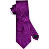 image:imageHISDERN Paisley Ties for Men Solid Tie Handkerchief Floral Mens Necktie amp Pocket Square Set Wedding Classic Mens TiesI1purple Plum