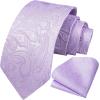 image:imageHISDERN Paisley Ties for Men Solid Tie Handkerchief Floral Mens Necktie amp Pocket Square Set Wedding Classic Mens TiesI4 Lavender