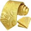 image:imageHISDERN Paisley Ties for Men Solid Tie Handkerchief Floral Mens Necktie amp Pocket Square Set Wedding Classic Mens TiesJ1sunshine Yellow