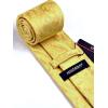 image:imageHISDERN Paisley Ties for Men Solid Tie Handkerchief Floral Mens Necktie amp Pocket Square Set Wedding Classic Mens TiesJ1sunshine Yellow