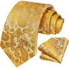 image:imageHISDERN Paisley Ties for Men Solid Tie Handkerchief Floral Mens Necktie amp Pocket Square Set Wedding Classic Mens TiesJ2yellow