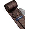 image:imageHISDERN Paisley Ties for Men Solid Tie Handkerchief Floral Mens Necktie amp Pocket Square Set Wedding Classic Mens TiesL1cocoa Brown