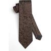 image:imageHISDERN Paisley Ties for Men Solid Tie Handkerchief Floral Mens Necktie amp Pocket Square Set Wedding Classic Mens TiesL2brown