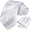 image:imageHISDERN Paisley Ties for Men Solid Tie Handkerchief Floral Mens Necktie amp Pocket Square Set Wedding Classic Mens TiesO3white