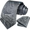 image:imageHISDERN Paisley Ties for Men Solid Tie Handkerchief Floral Mens Necktie amp Pocket Square Set Wedding Classic Mens TiesP1medium Gray