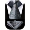 image:imageHISDERN Paisley Ties for Men Solid Tie Handkerchief Floral Mens Necktie amp Pocket Square Set Wedding Classic Mens TiesP1medium Gray